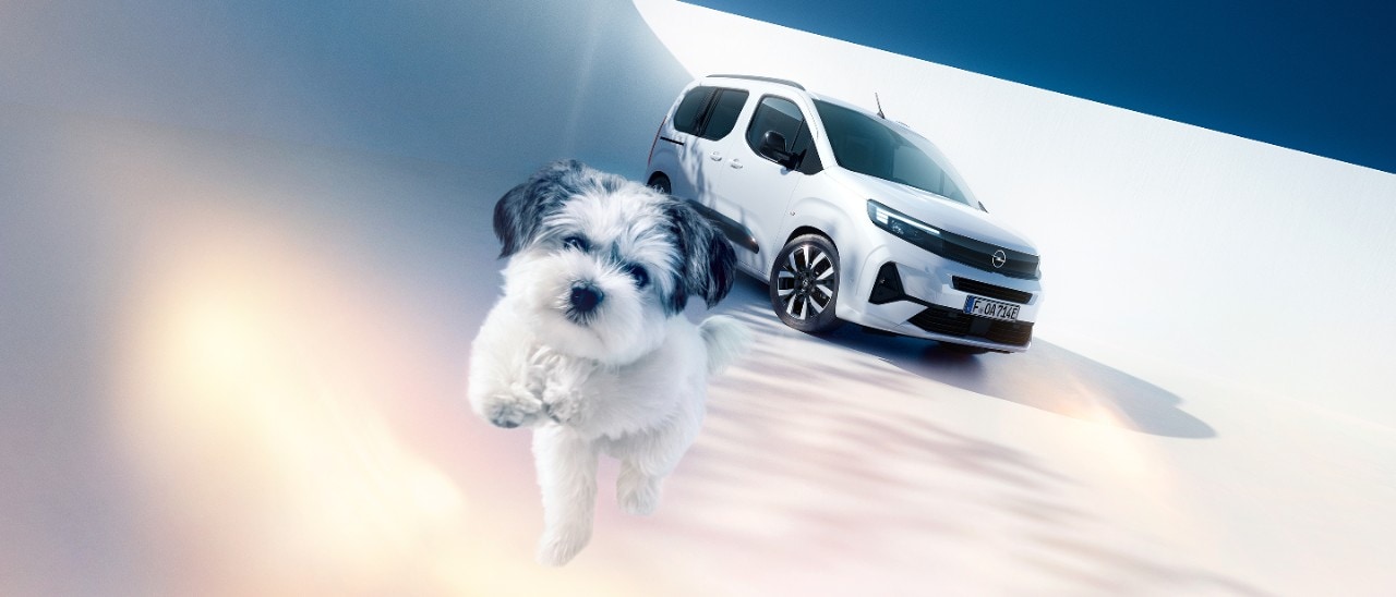 Вигляд спереду на білий Opel Combo Electric й песика