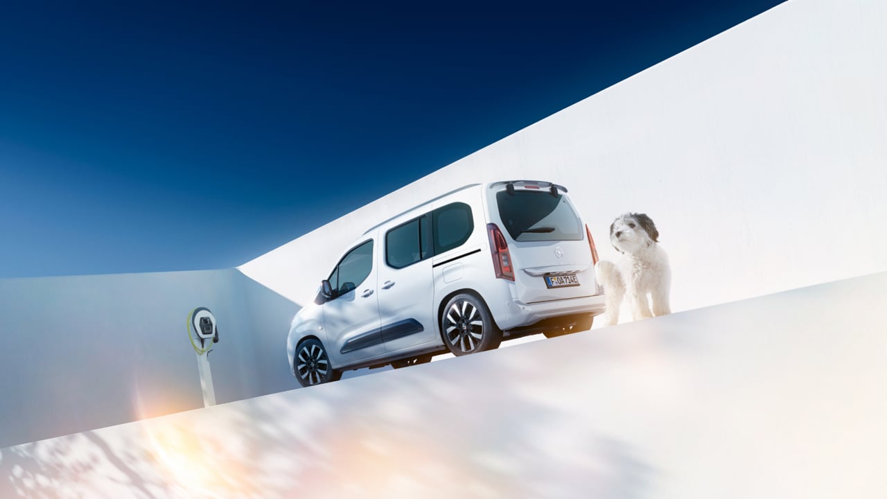 Вигляд ззаду на білий Opel Combo Electric й песика поруч із зарядним пристроєм Wallbox