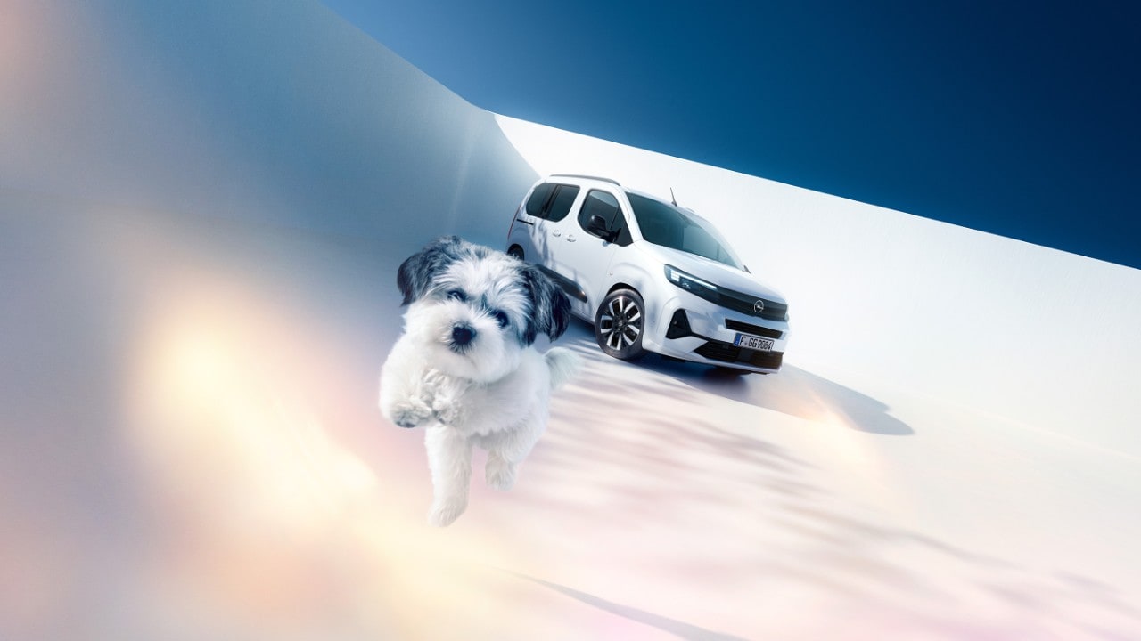 Вигляд спереду на білий Opel Combo й песика
