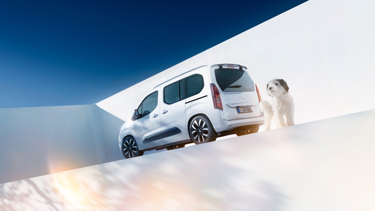 Вигляд ззаду на білий Opel Combo й песика поруч